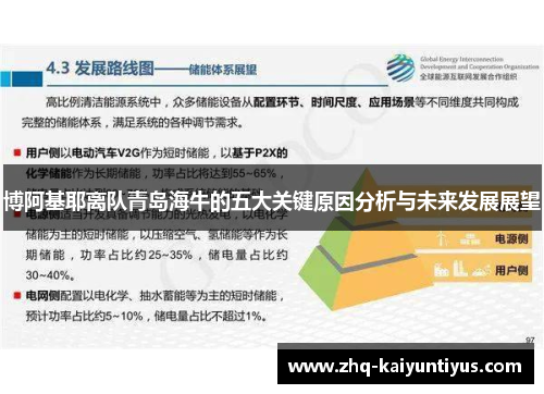 博阿基耶离队青岛海牛的五大关键原因分析与未来发展展望