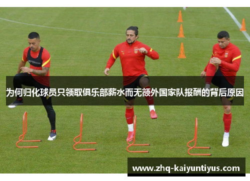 为何归化球员只领取俱乐部薪水而无额外国家队报酬的背后原因