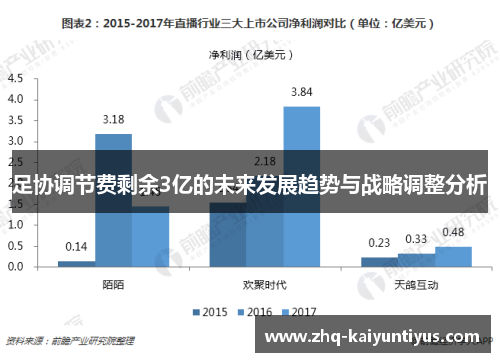 足协调节费剩余3亿的未来发展趋势与战略调整分析