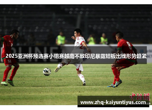 2025亚洲杯预选赛小组赛越南不敌印尼暴露短板出线形势趋紧